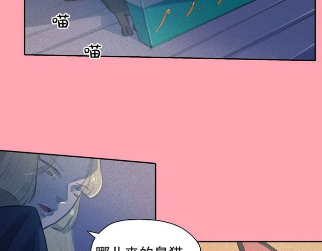 第61话 美男的能力4