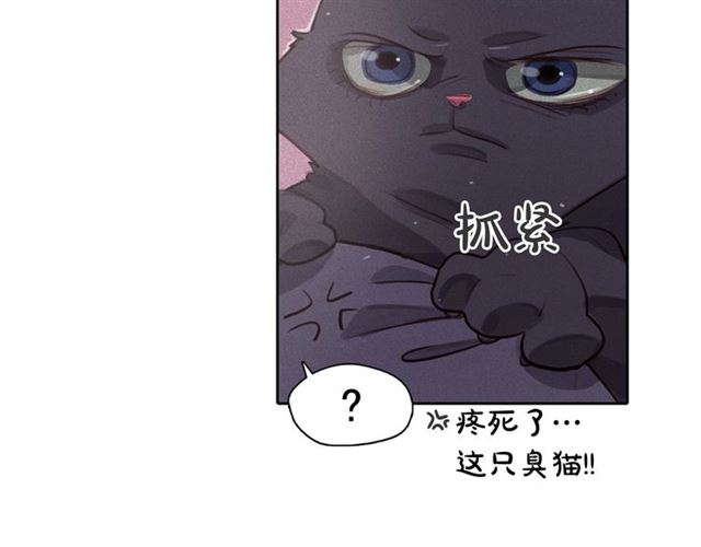 第72话 参与战争72