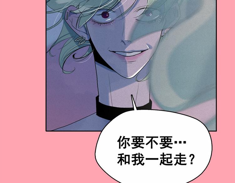 第17话 猫也能外交？12