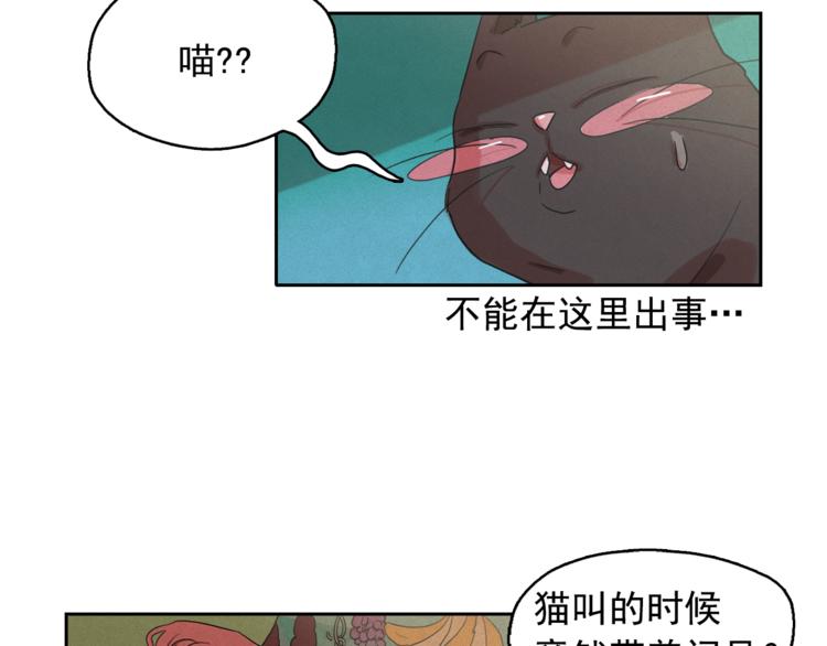 第24话 我要买下那只说话猫！48