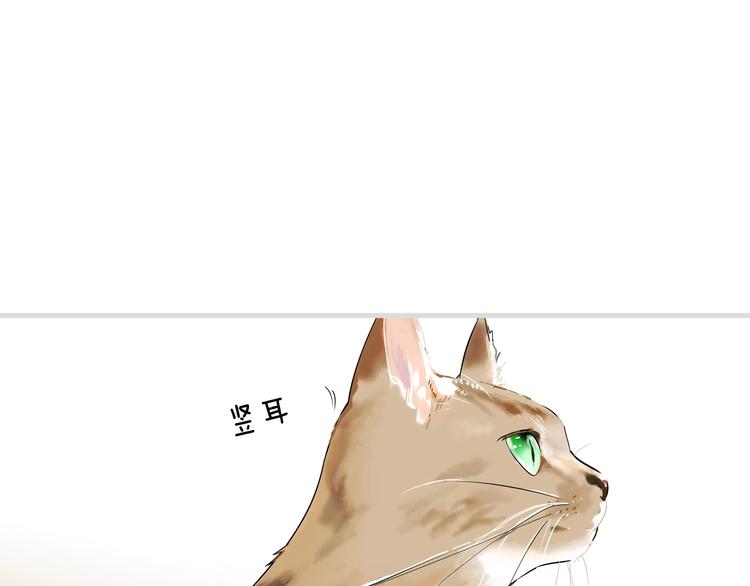 第54话 我愿成爲你的剑172