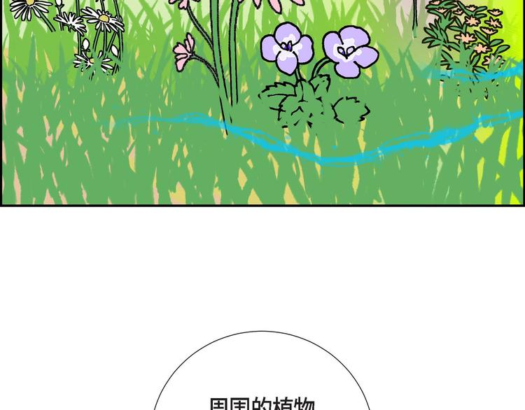 第2话 魔法球115