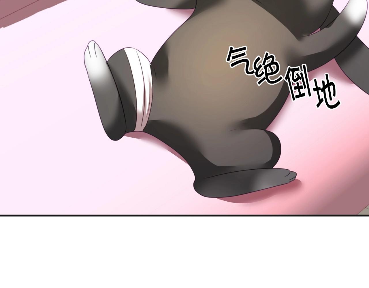 第3话 与兔同眠139