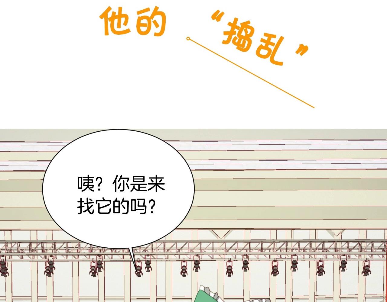 序章  兔子总发飙，但从不乱撩22