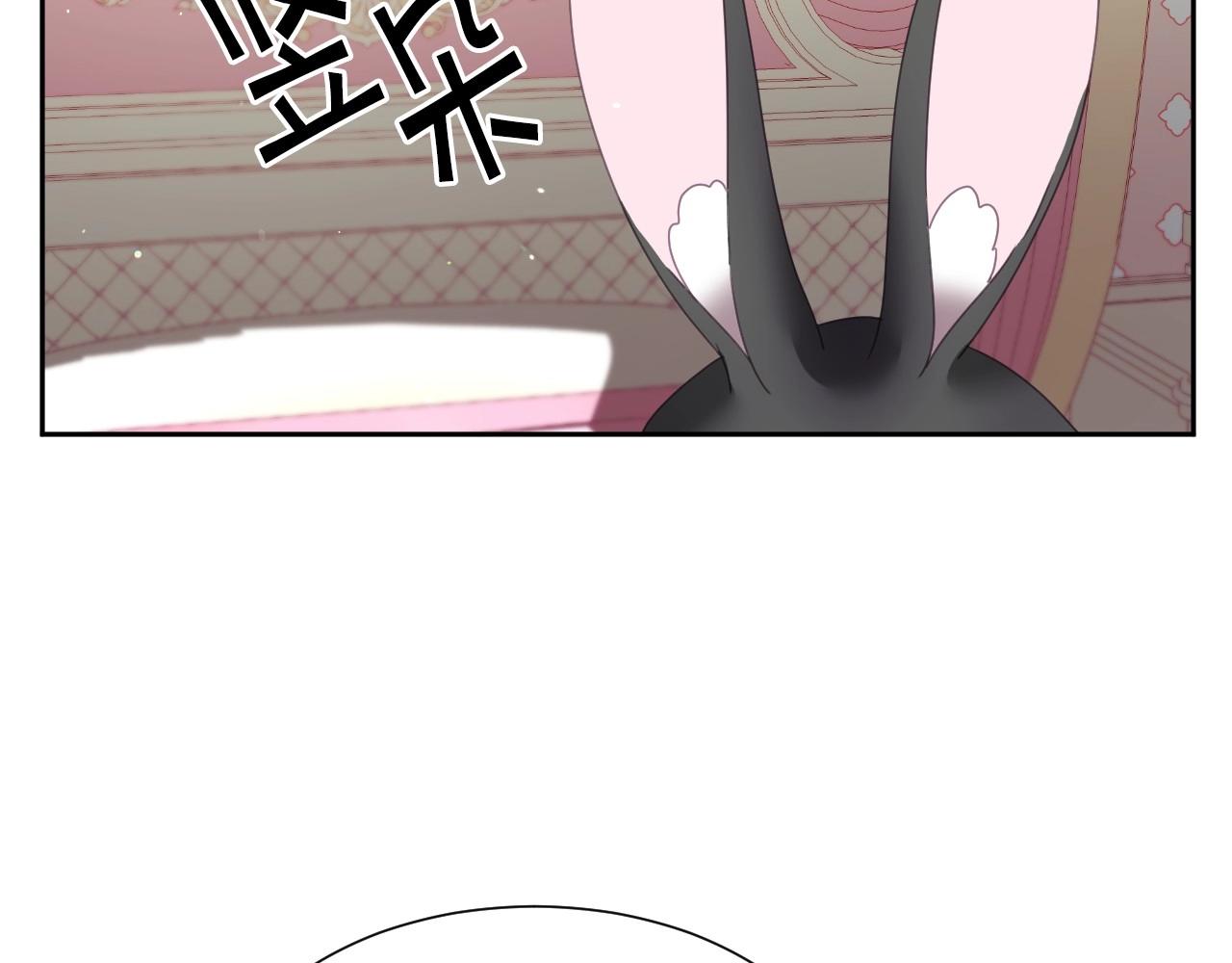第7话 兔子再次飞踢101
