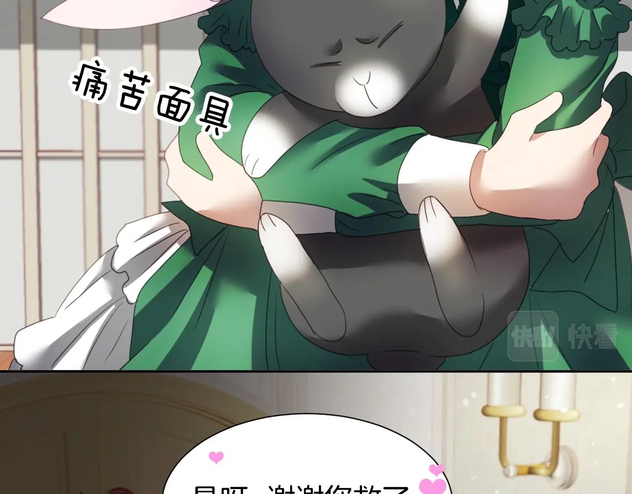 序章  兔子总发飙，但从不乱撩26
