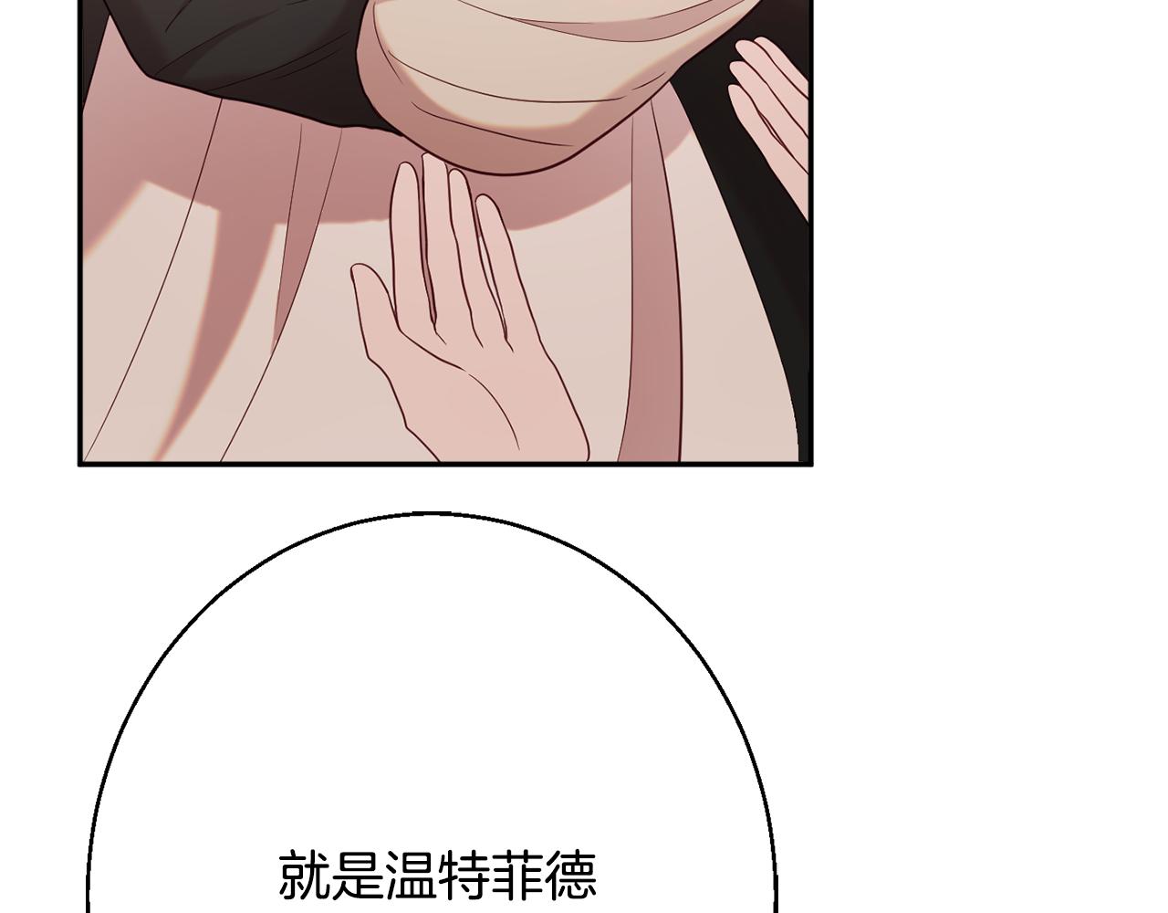 第35话 遗失的宝石99