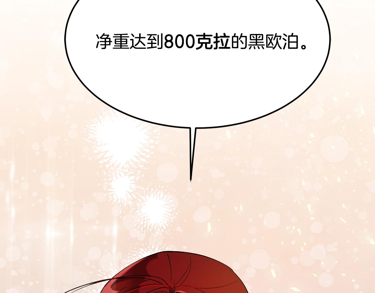 第11话 重现辉煌214