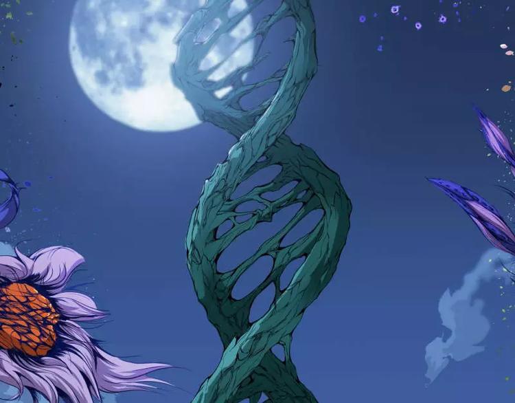 序言 修复的种子192