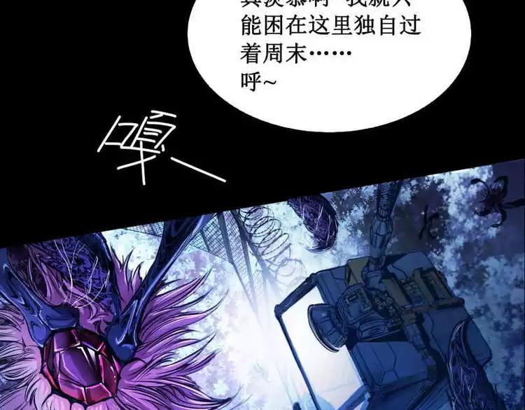 序言 修复的种子125