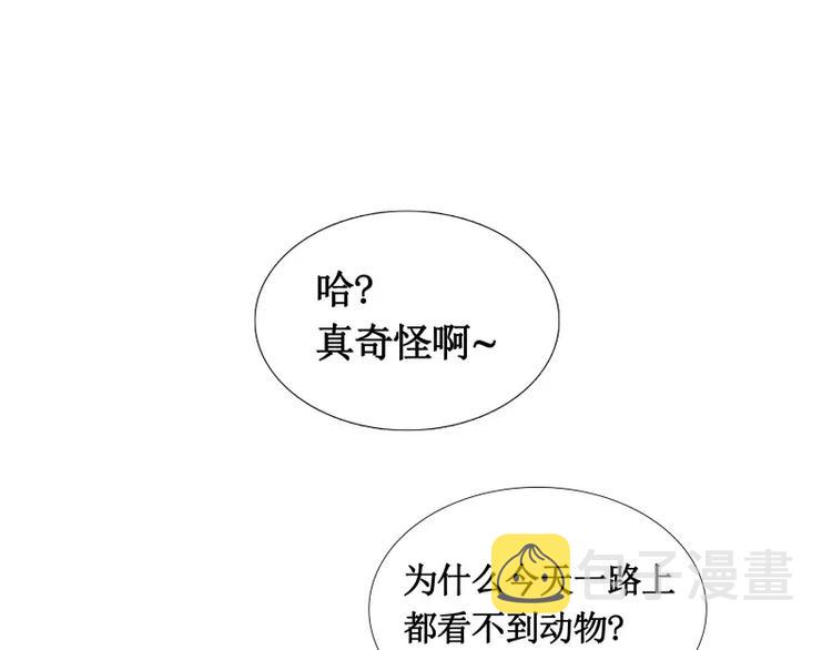 第5话 游乐园神秘女子6