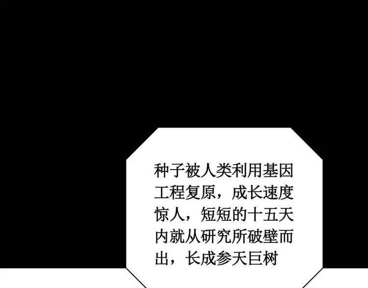 序言 修复的种子20