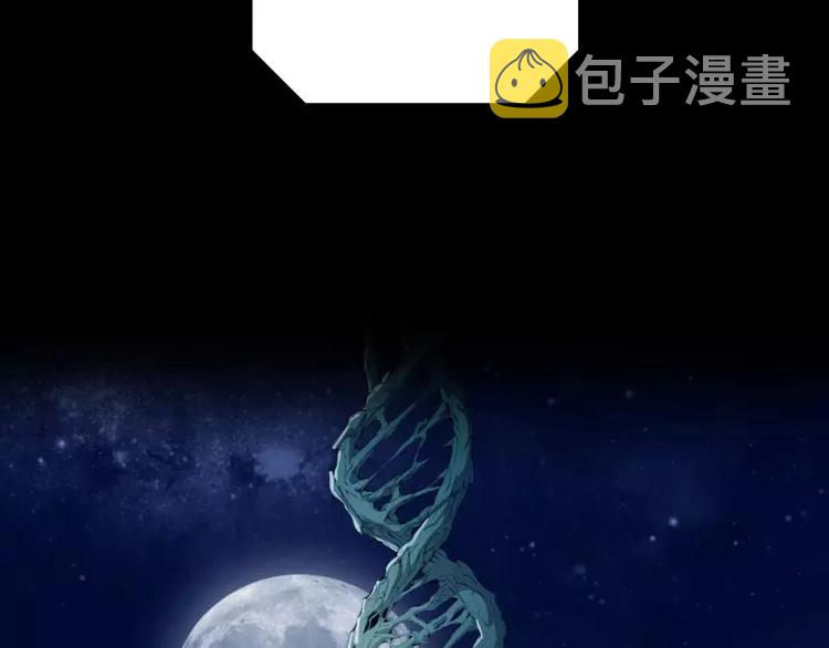 序言 修复的种子33