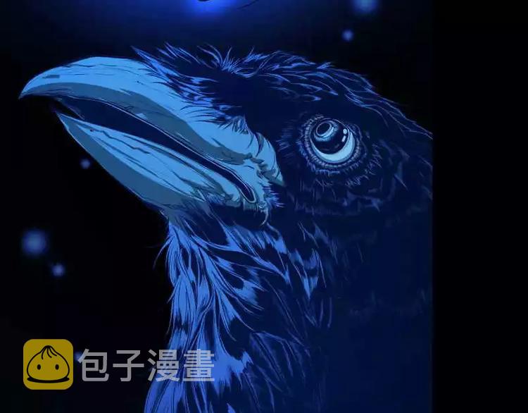 序言 修复的种子143