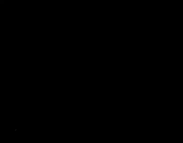 番外篇 追忆78