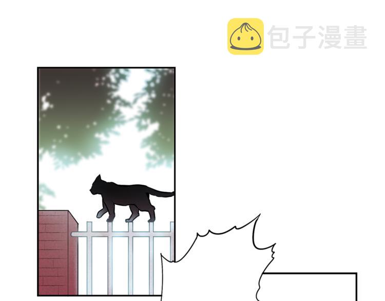 第1+2话 你好小猫咪146