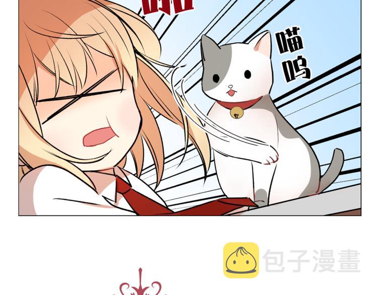 第13话 可恶的猫咪！9