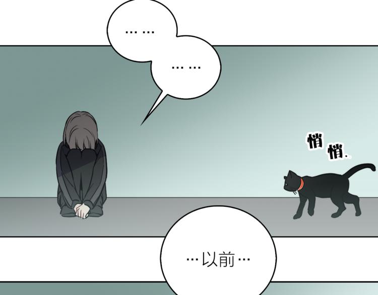 第1+2话 你好小猫咪245