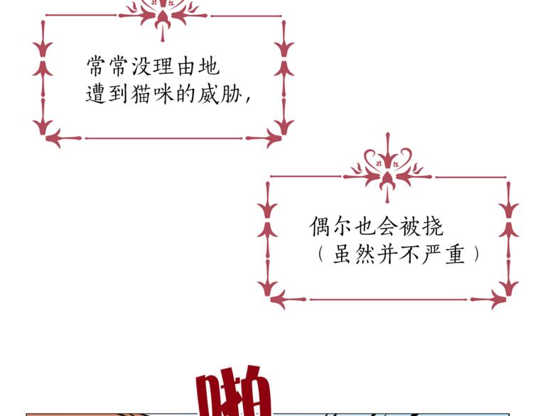 第13话 可恶的猫咪！8