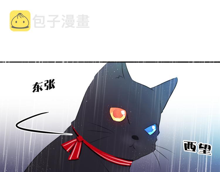 第3话 穿越到猫王国！67