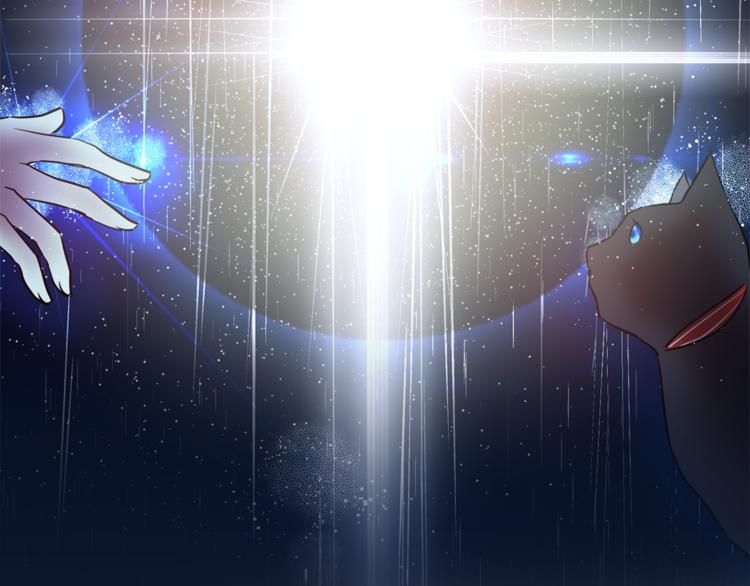 第3话 穿越到猫王国！76