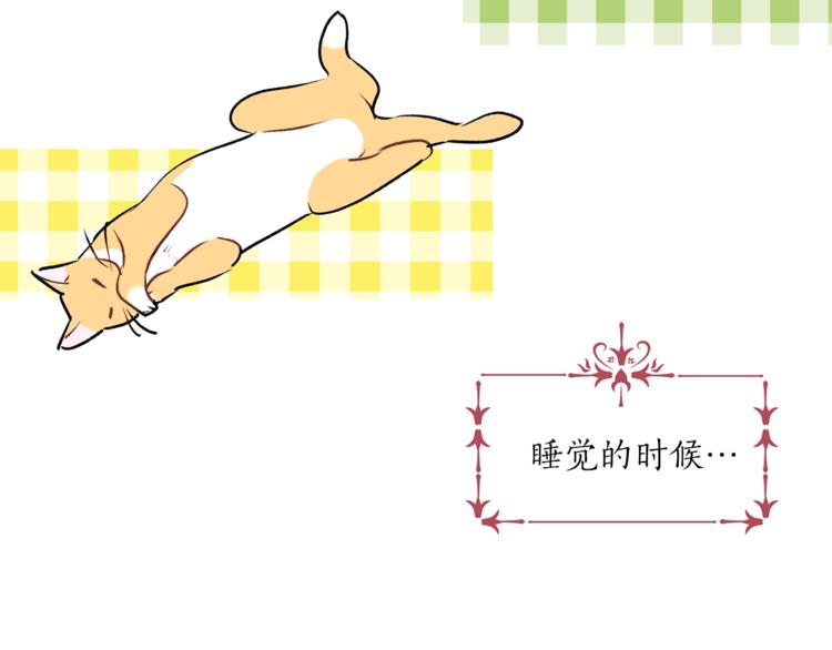 第13话 可恶的猫咪！13