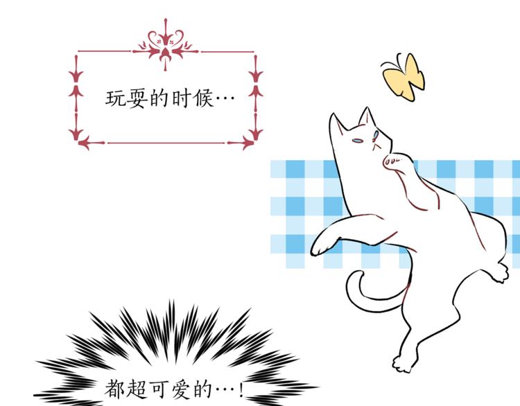 第13话 可恶的猫咪！14