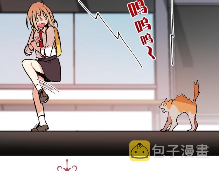 第13话 可恶的猫咪！7