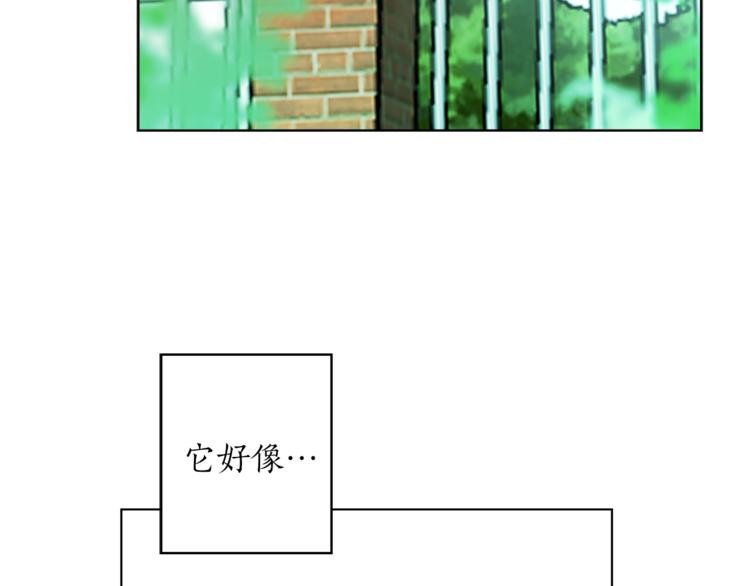 第1+2话 你好小猫咪260