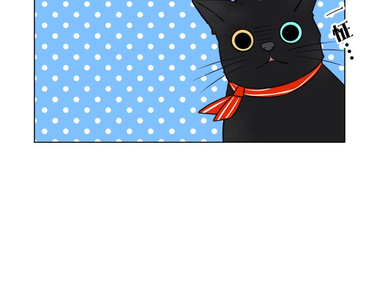 第1+2话 你好小猫咪250