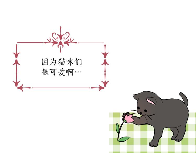 第13话 可恶的猫咪！12