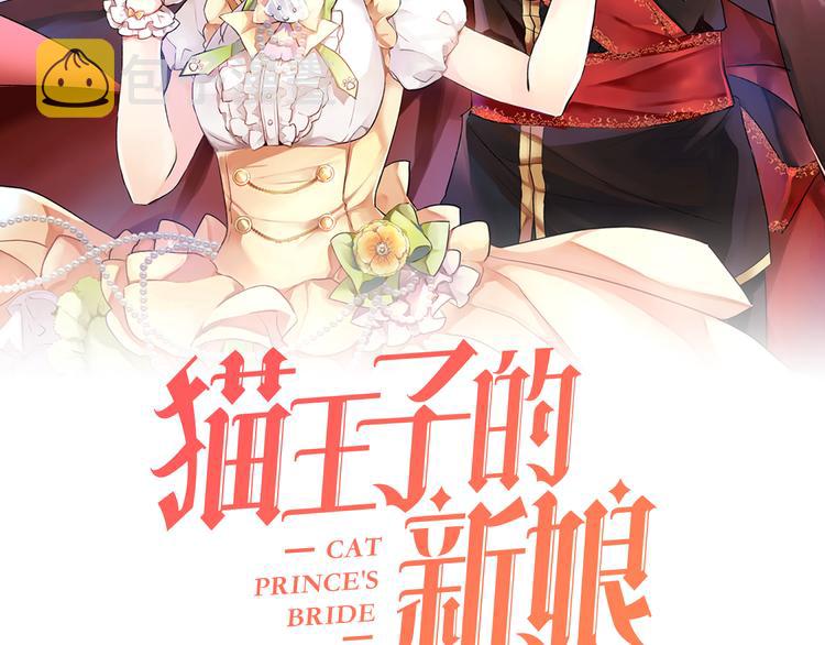 第13话 可恶的猫咪！1