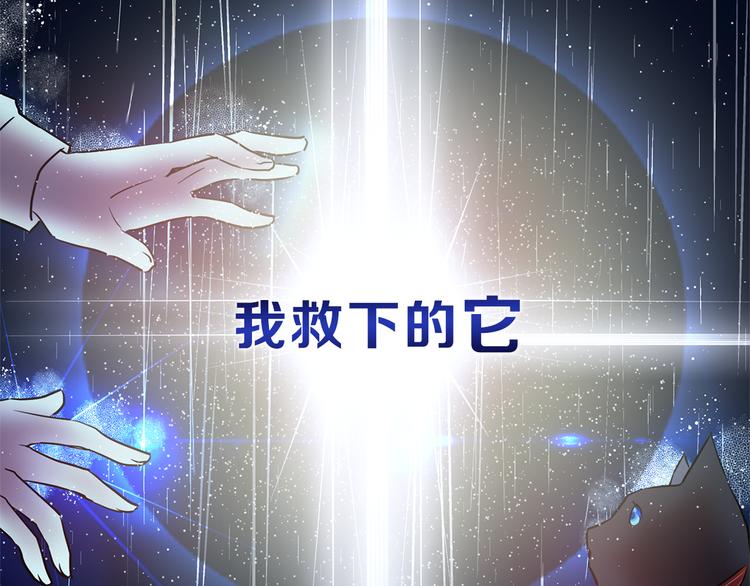 序章 遇见异瞳猫王子8