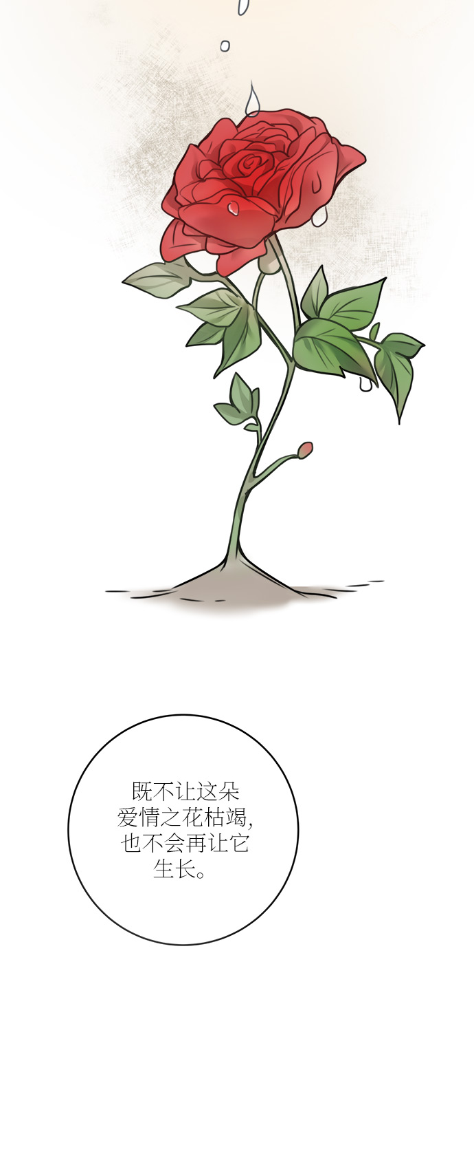 外传 155