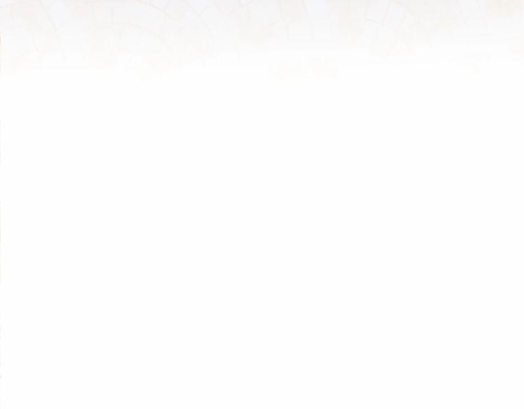 第5话 成爲王后只是一个失误？99