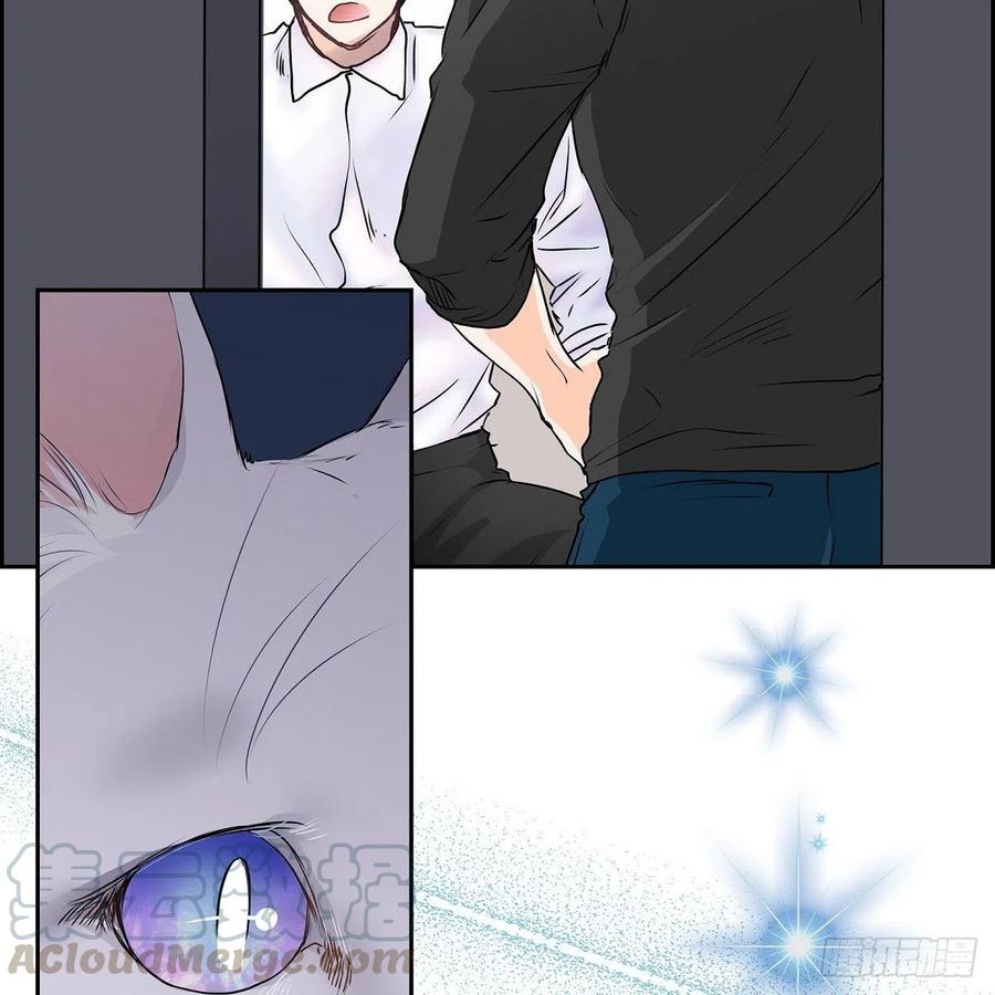 第41话 斐会和我在一起45