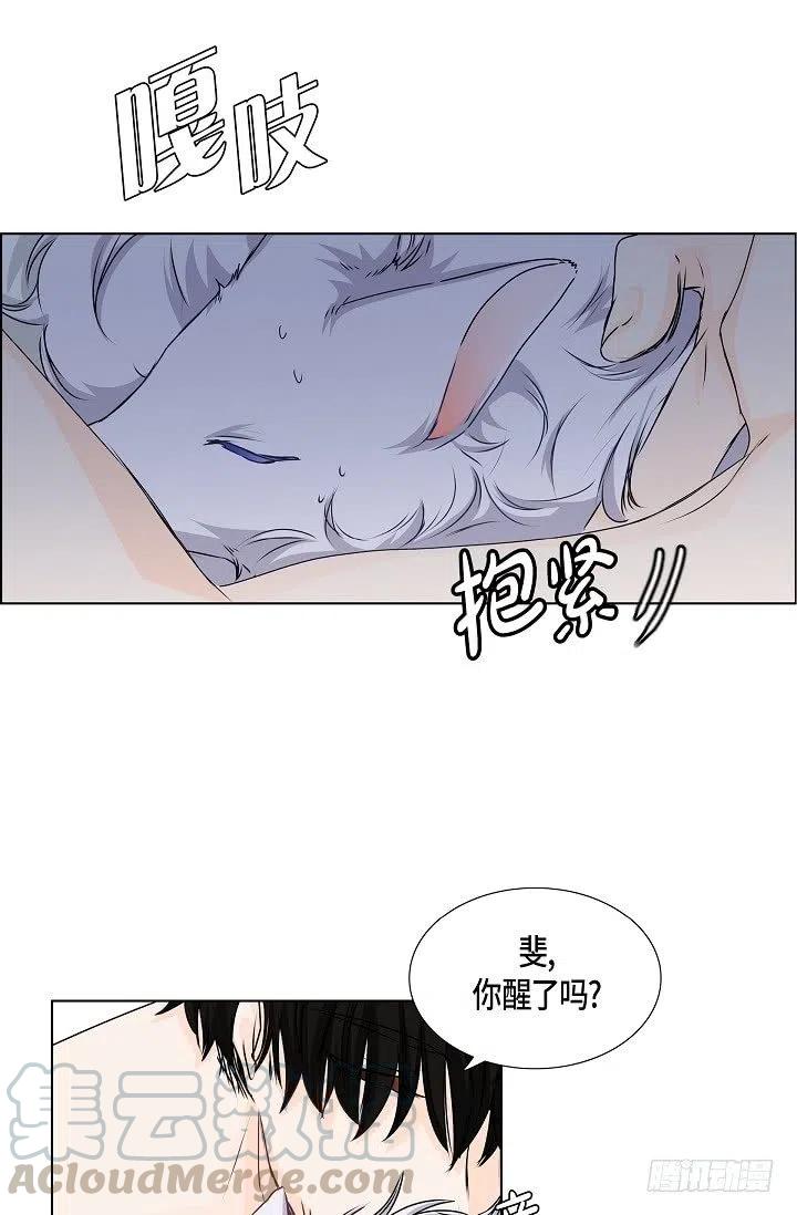 第28话 伤感的梦36