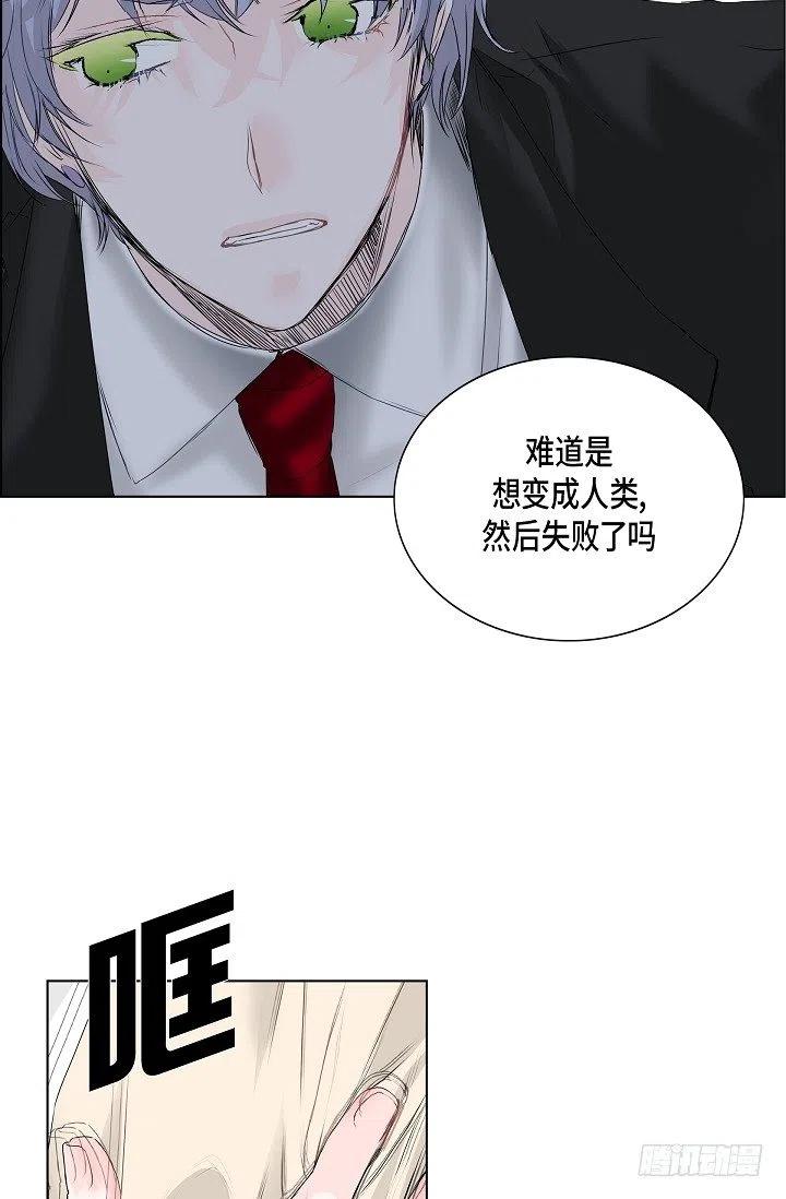 第16话 心脏去哪儿了33