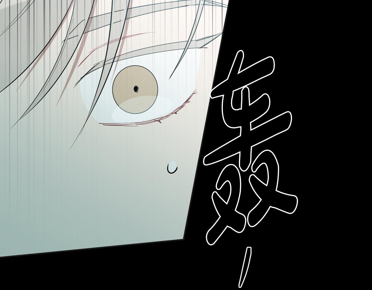 第52话 特别的人79