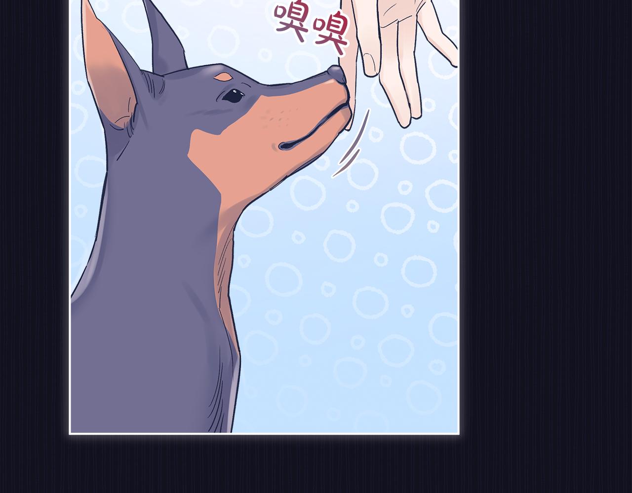 第37话 调查47