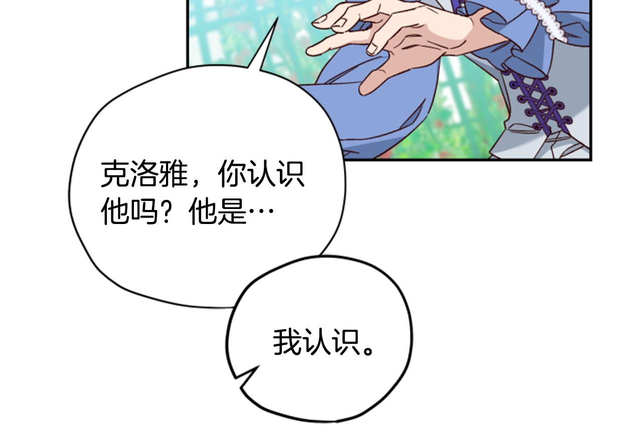 第54话 猫咪朋友108