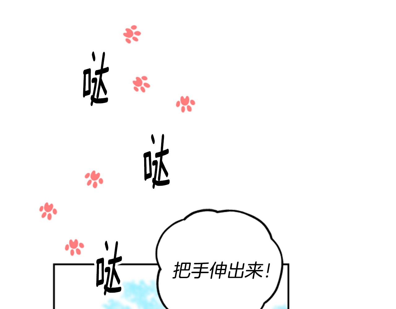 第54话 猫咪朋友35