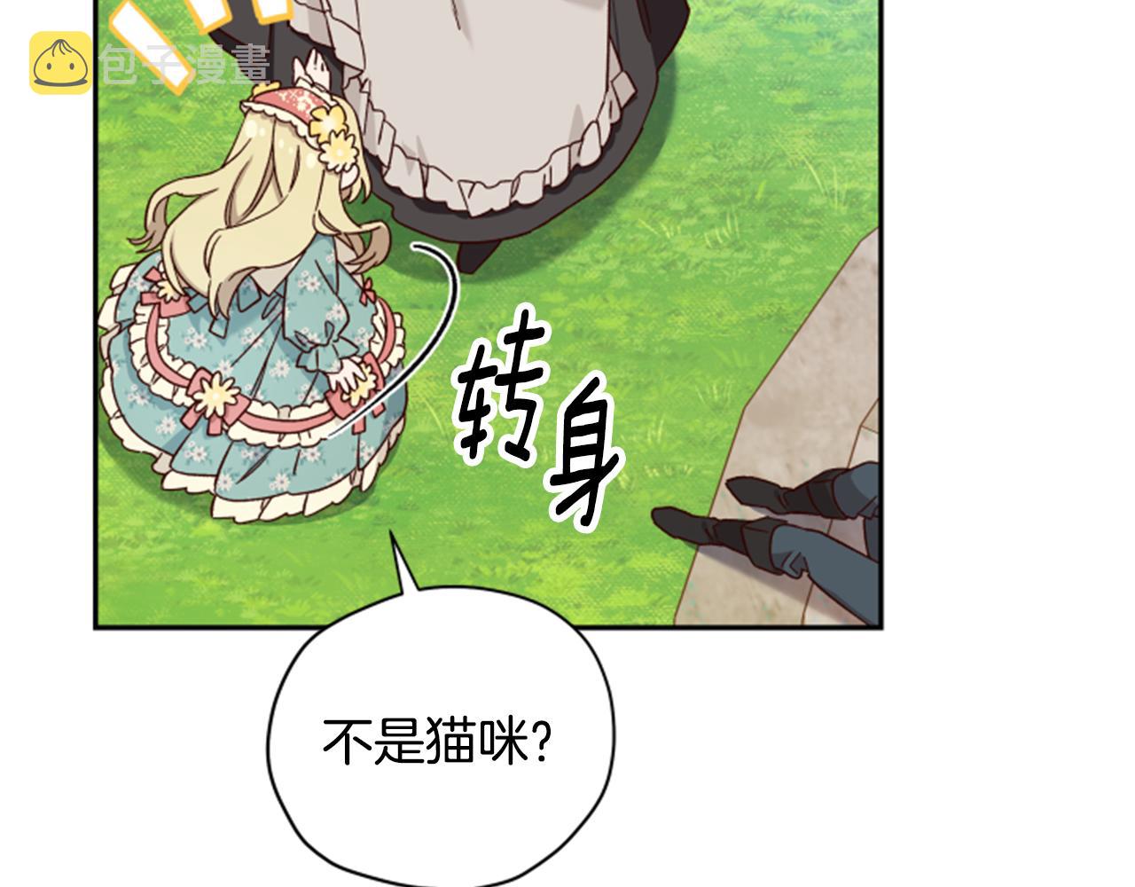 第54话 猫咪朋友16