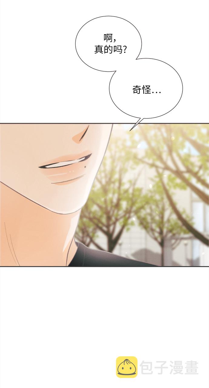 [第41话] 鹅黄小苍兰 (第1季 最终话)47