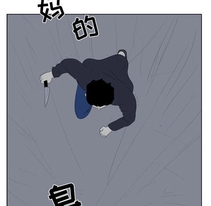 3251