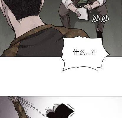 4954