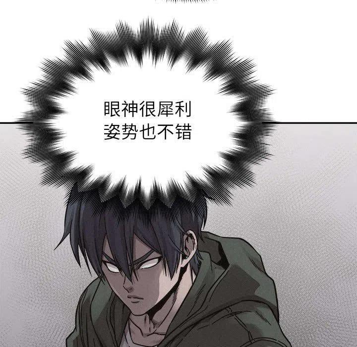 8068