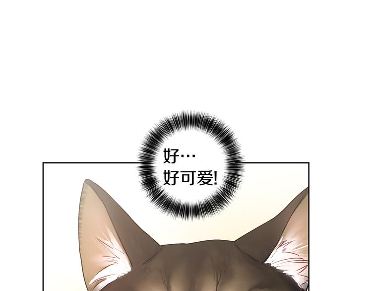 第31话 被萌化惹32