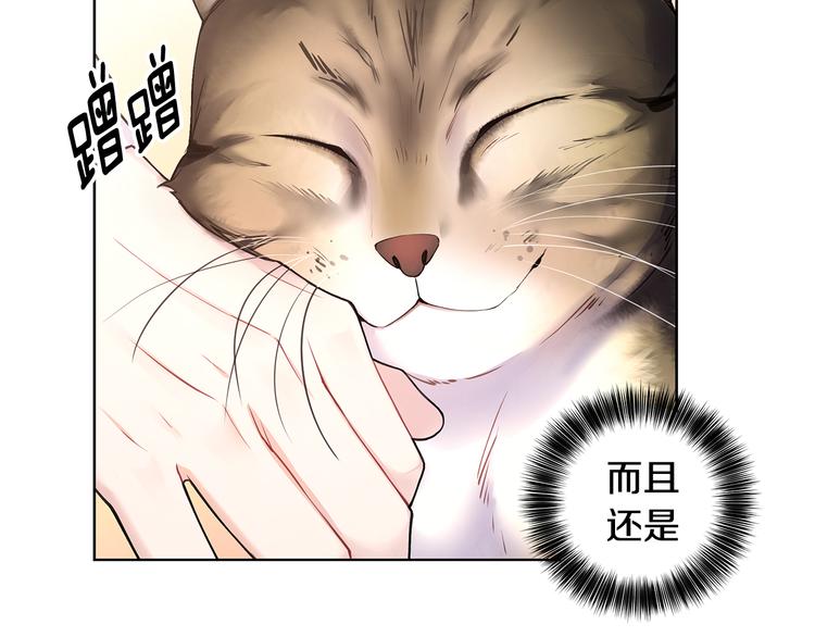 第31话 被萌化惹33