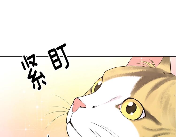 第5话 英雄救场27